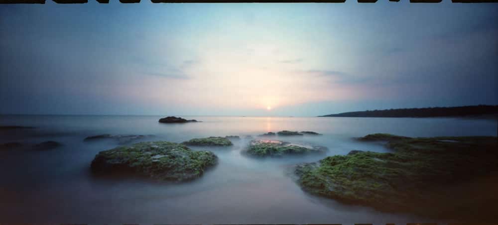 EMULSIVE x Kodak Alaris Community Interview: results time