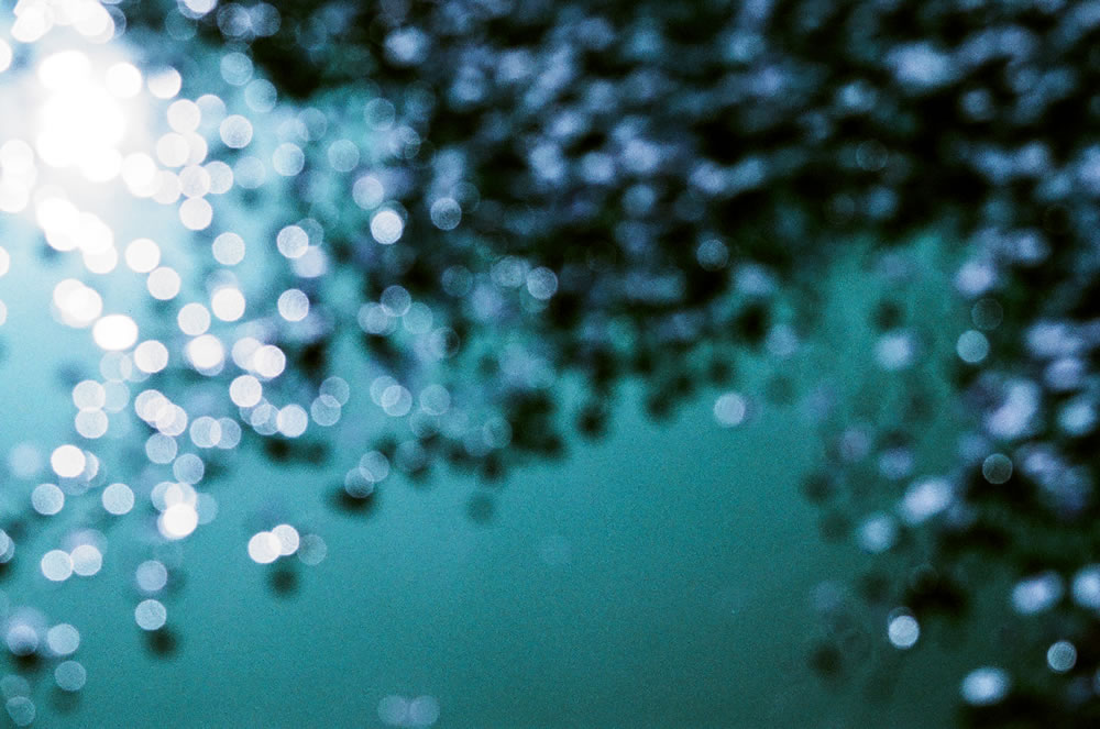 Nuthin' but bokeh - Lomography Lomochrome Purple XR 100-400 shot at EI 400. Color negative film in 35mm format.