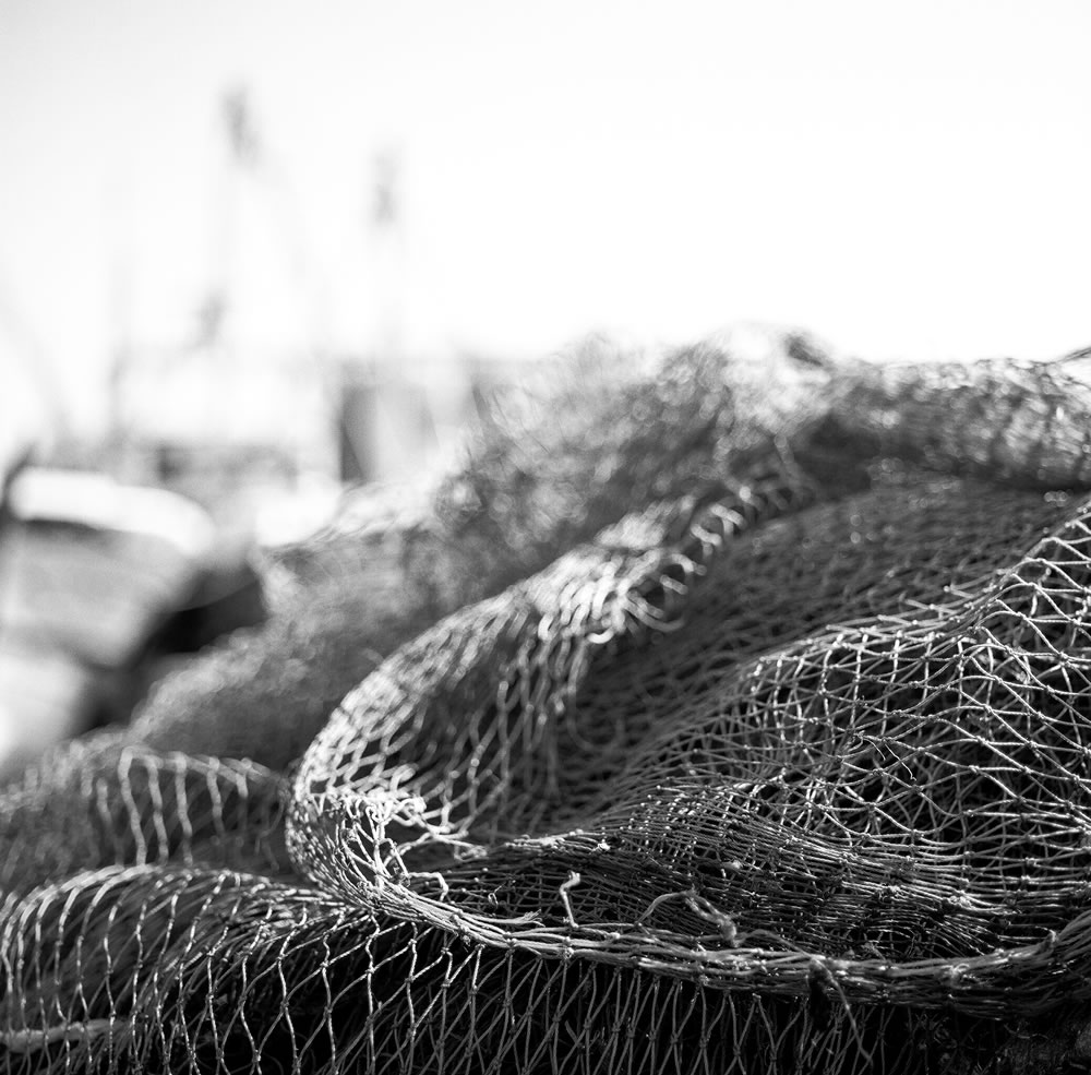 Dried out - Shot on Kodak T-MAX 100 at EI 100. Black and white negative film in 120 format shot as 6x6.