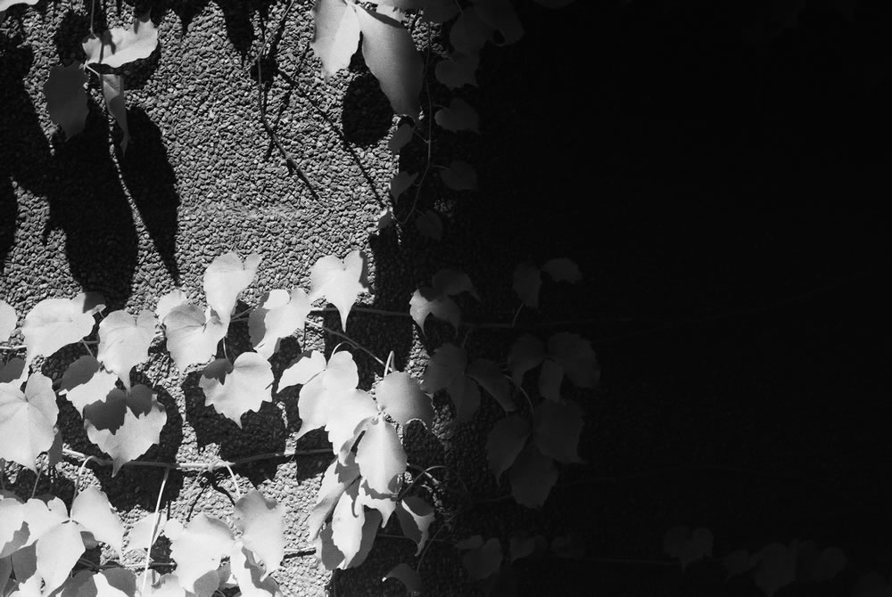 Light and shade - JCH Streetpan 400 shot at EI 12. Black and white negative film in 35mm format. R72 720nm filter.