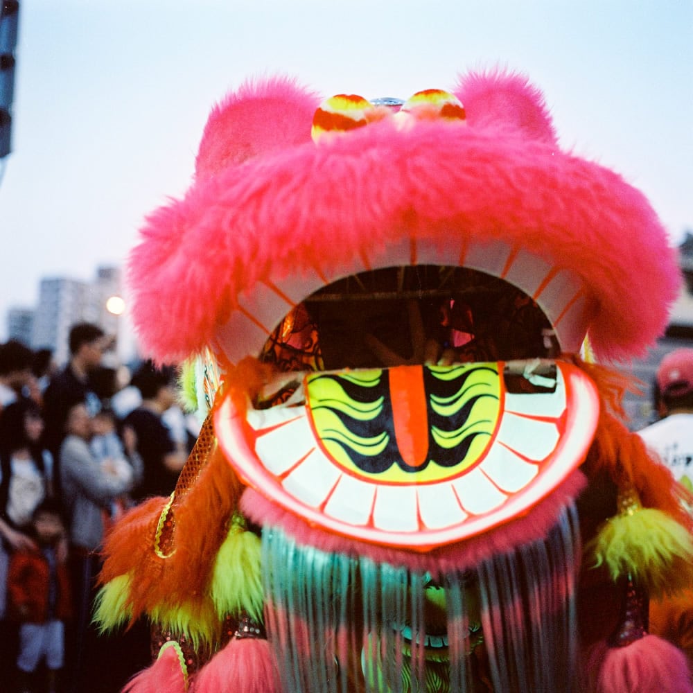 Photography: Inside the lion’s mind – Cinestill 800T (120)