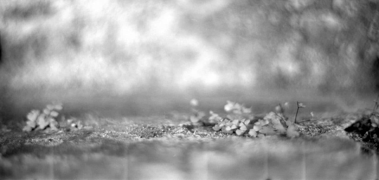 Photography: Off the wall – Kodak T-MAX 400 (120)