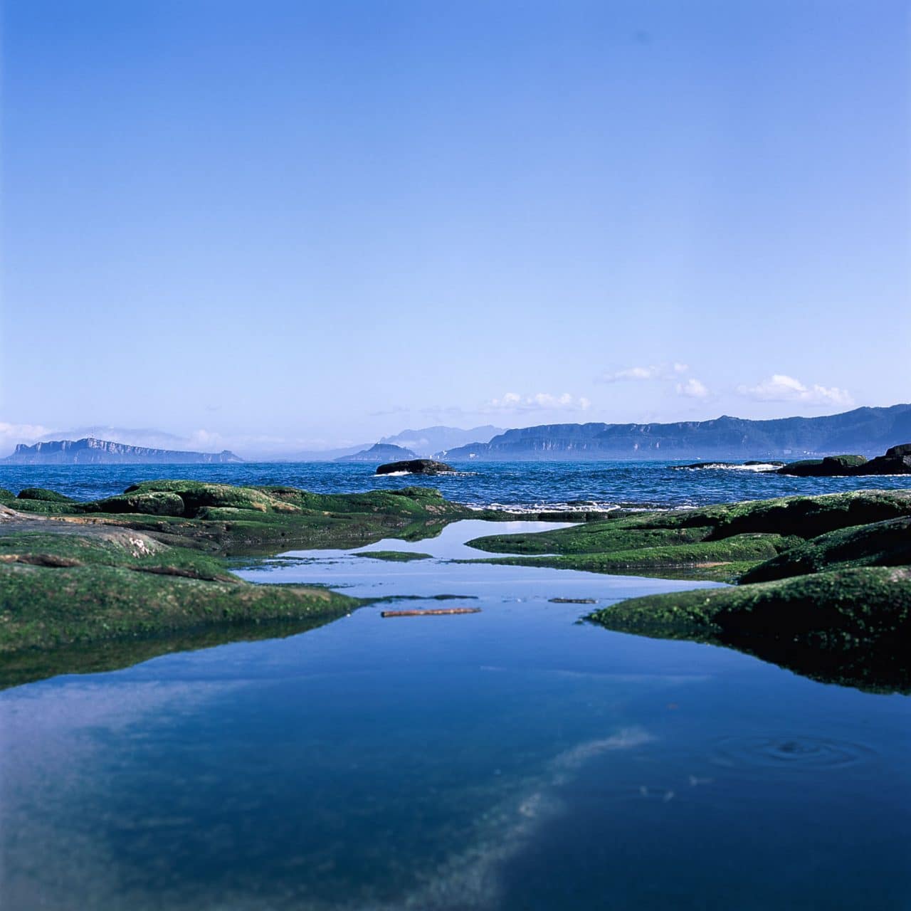 Small worlds - Shot on Fuji Velvia 50 (RVP 50) at EI 50. Color reversal (slide) film in 120 format shot as 6x6..jpg