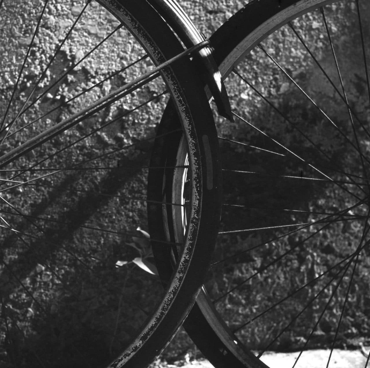 Venn Shot on Rollei Superpan 200 at EI 200. Black and white negative film in 120 format shot as 6x6. Black and white reversal development.