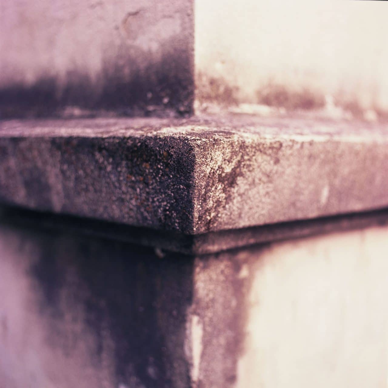 Photography: Focal point – Fuji Provia 400X – RXP (120)