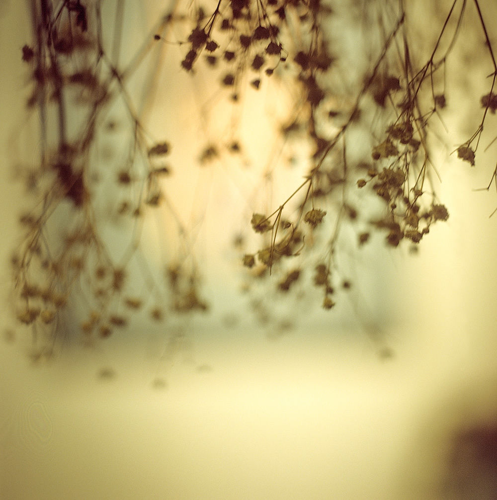 Photography: Hung to dry – Shot on Kodak EKTACHROME 200 E200 at EI 200 (120 format)