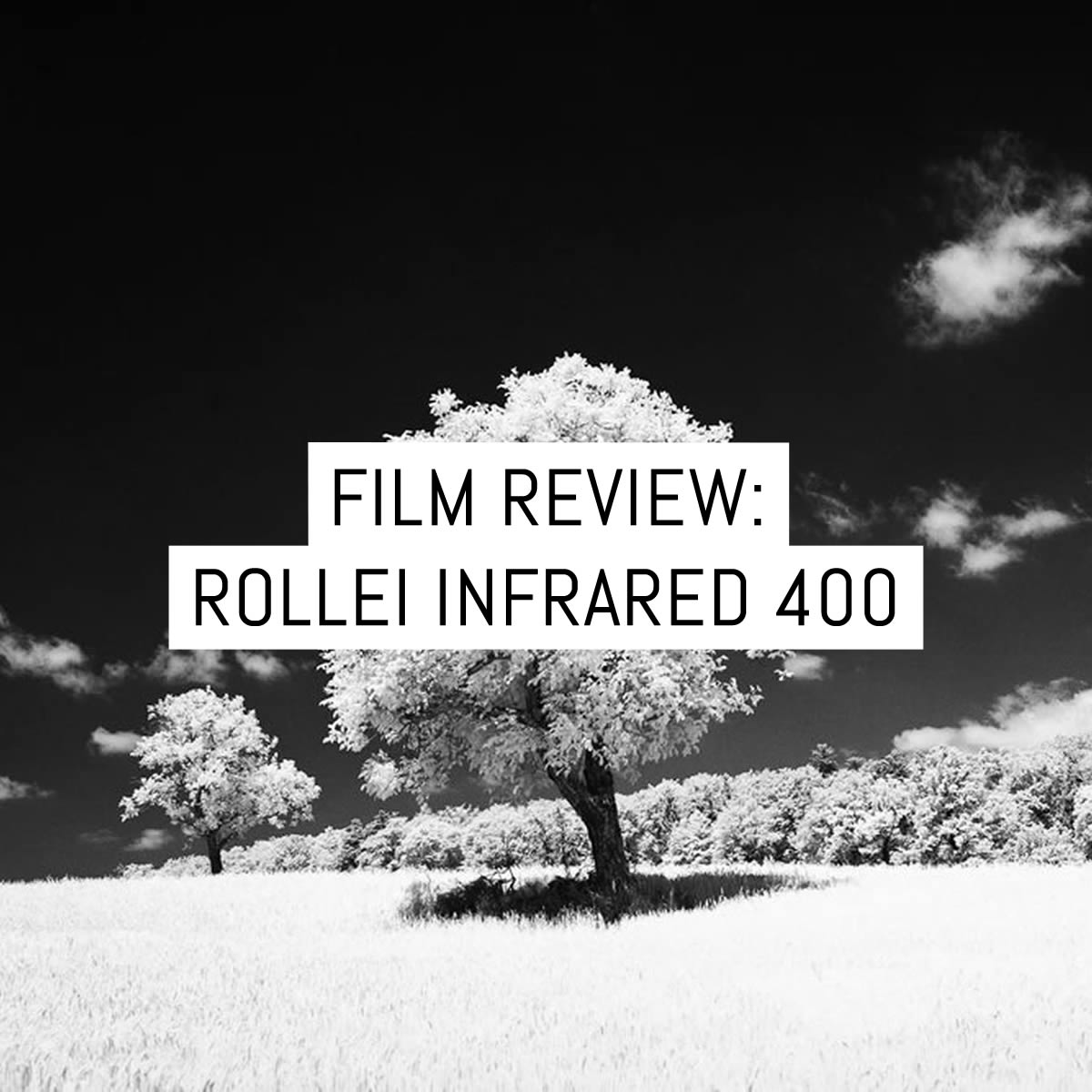 Film stock review: Rollei Infrared 400