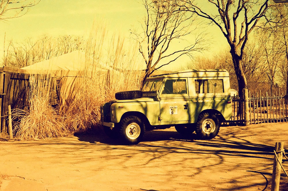 EMULSIVE interview #151: I am Denise Grays and this is why I shoot film