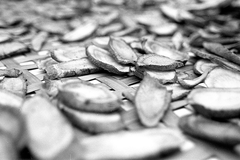 Photography: Ginger snaps – Lucky New SHD 100 (35mm)