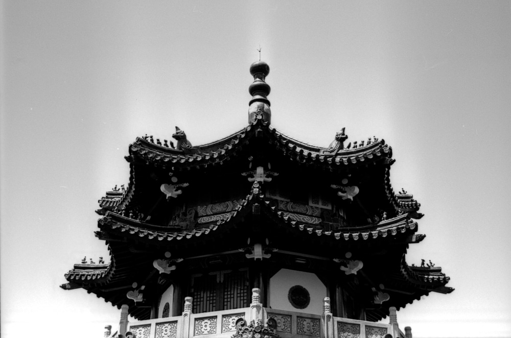 Photography: Halo – FILM Ferrania P30 Alpha (35mm)