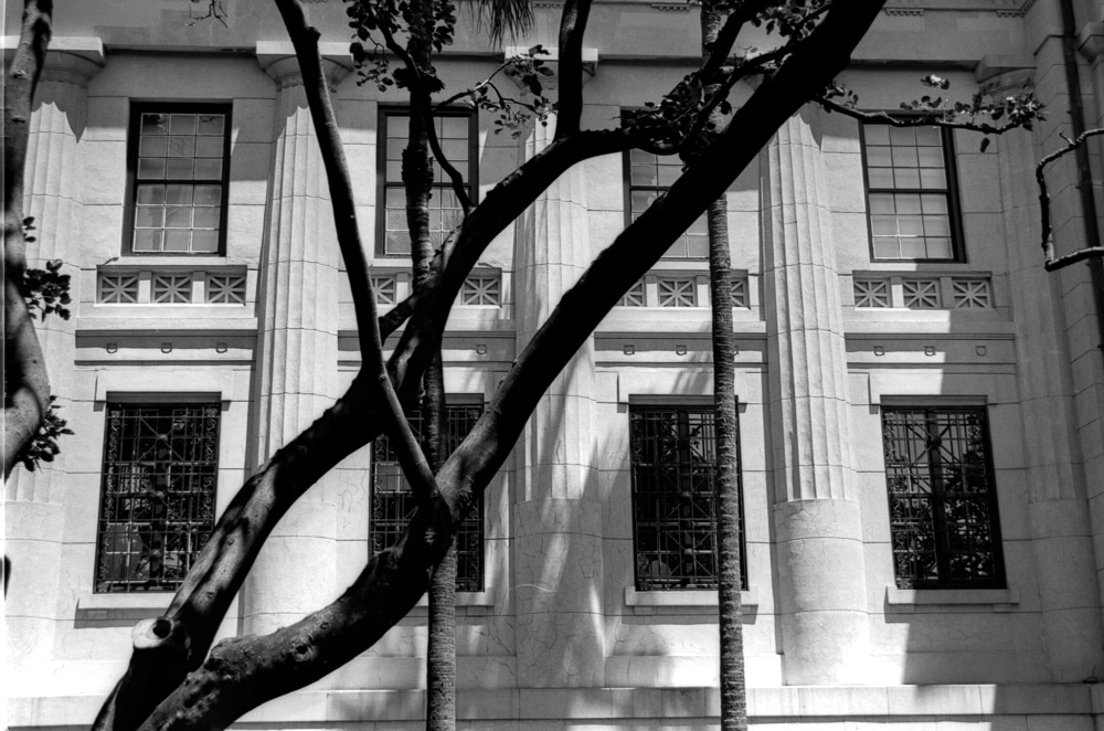 Photography: Pillars of society – FILM Ferrania P30 Alpha (35mm)