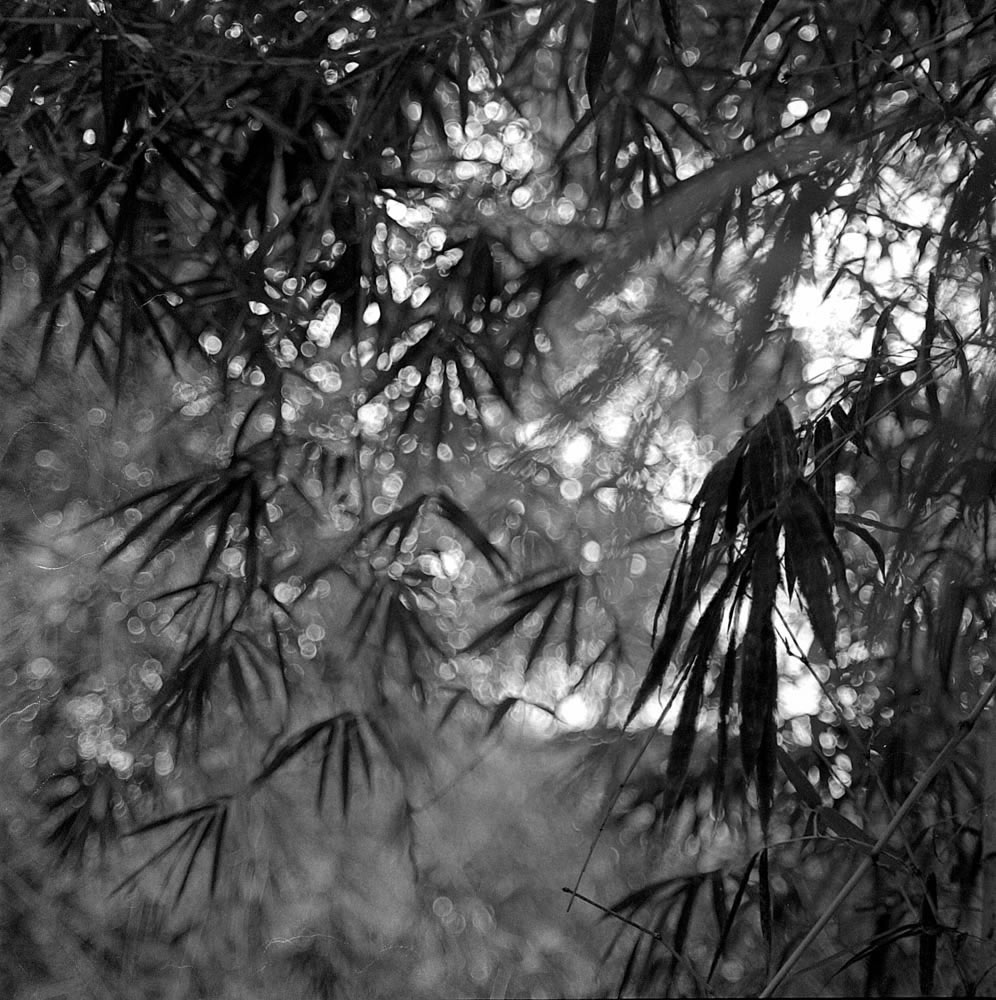 Photography: Afloat – Shot on Bergger Pancro 400 at EI 200 (120 format)