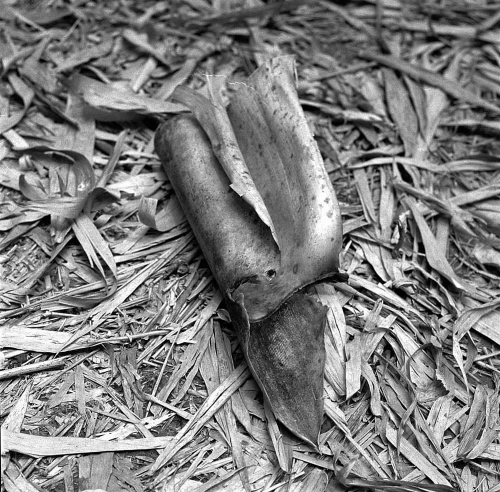 Photography: It’s a jumper – Shot on Bergger Pancro 400 at EI 200 (120 format)