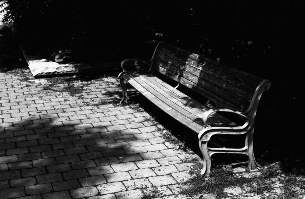 5 Frames… With FERRANIA P30 ALPHA (EI 80 / 35mm / Olympus OM-1)