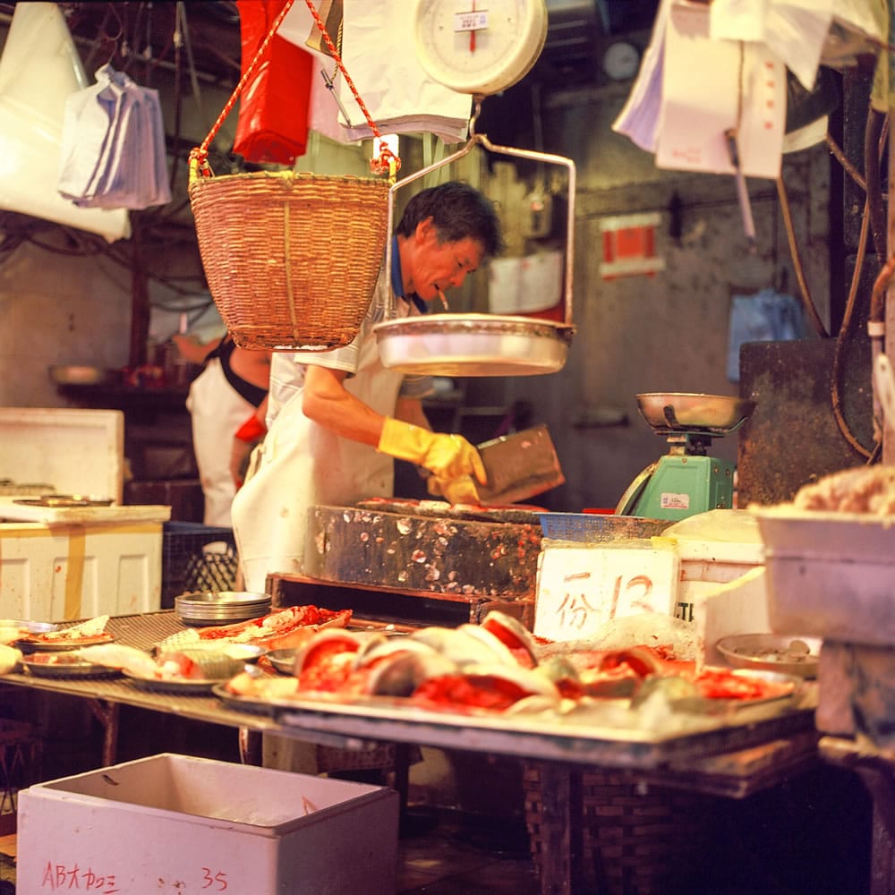 Photography: Ash collection system – Shot on Fuji Provia 400X – RXP400 (120)