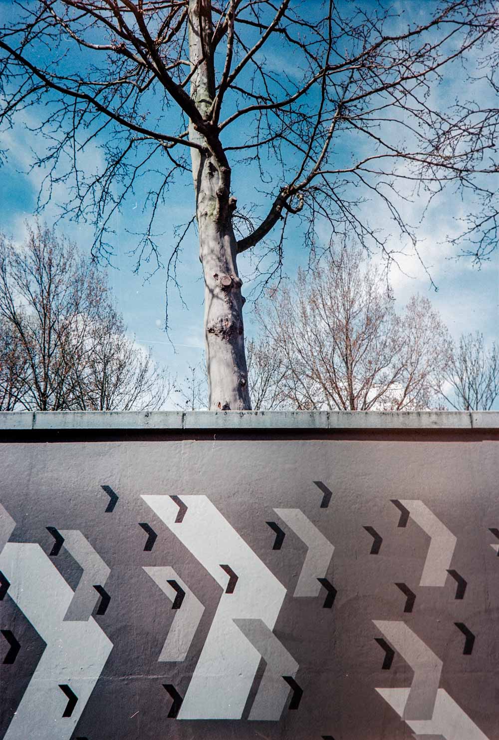 5 Frames… With Kodak Ektar 100 (EI 100 / 35mm format / Ricoh GR1s)