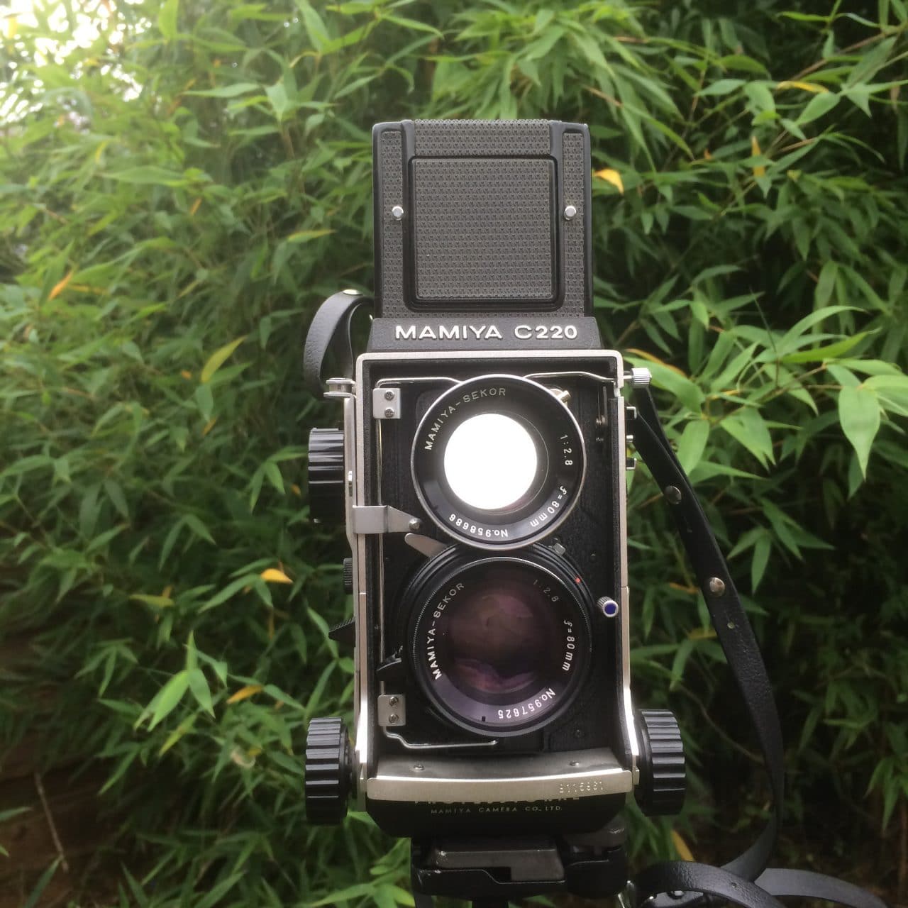 Camera review: Mamiya C220 Professional TLR