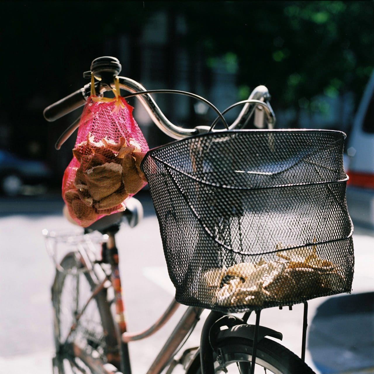 Photography: Skins – Shot on Fuji Pro 160NS at EI 400 (120 format)