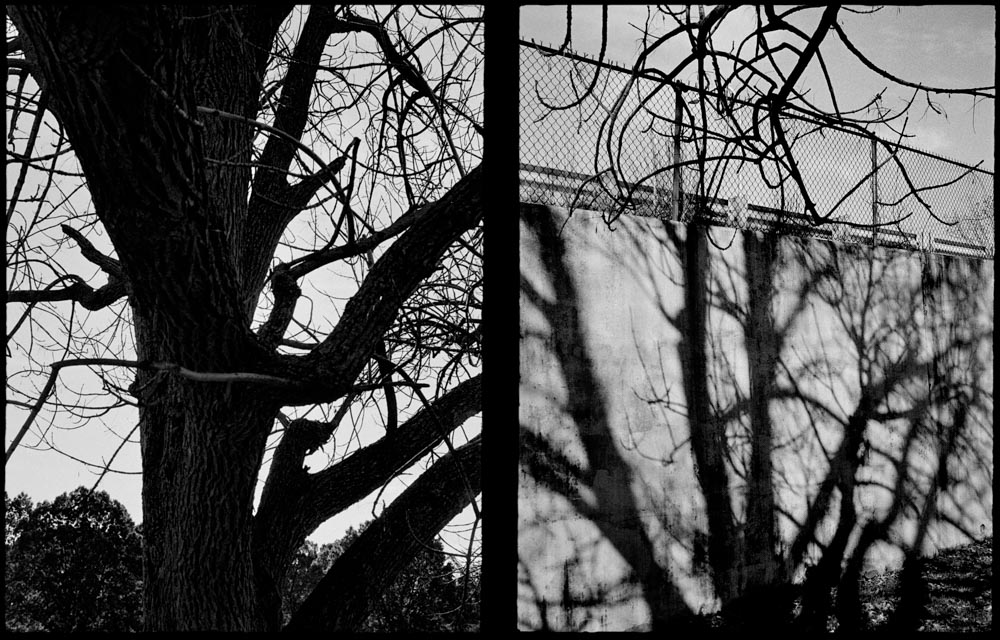 5 Frames… With ILFORD PAN F PLUS ( EI 50 / 35mm format / Olympus Pen S)