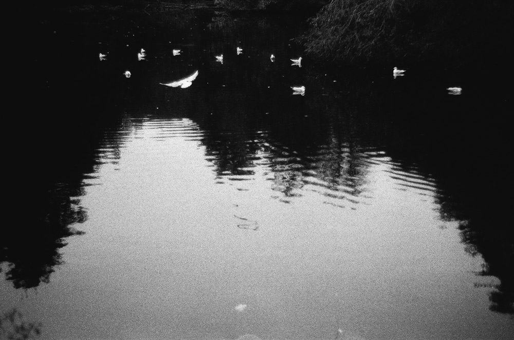 Why shoot film part 1: the Leica CL