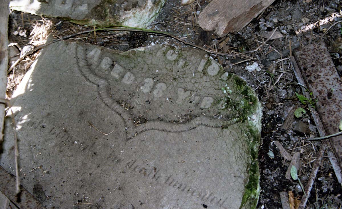 Photoset: Nature Wins