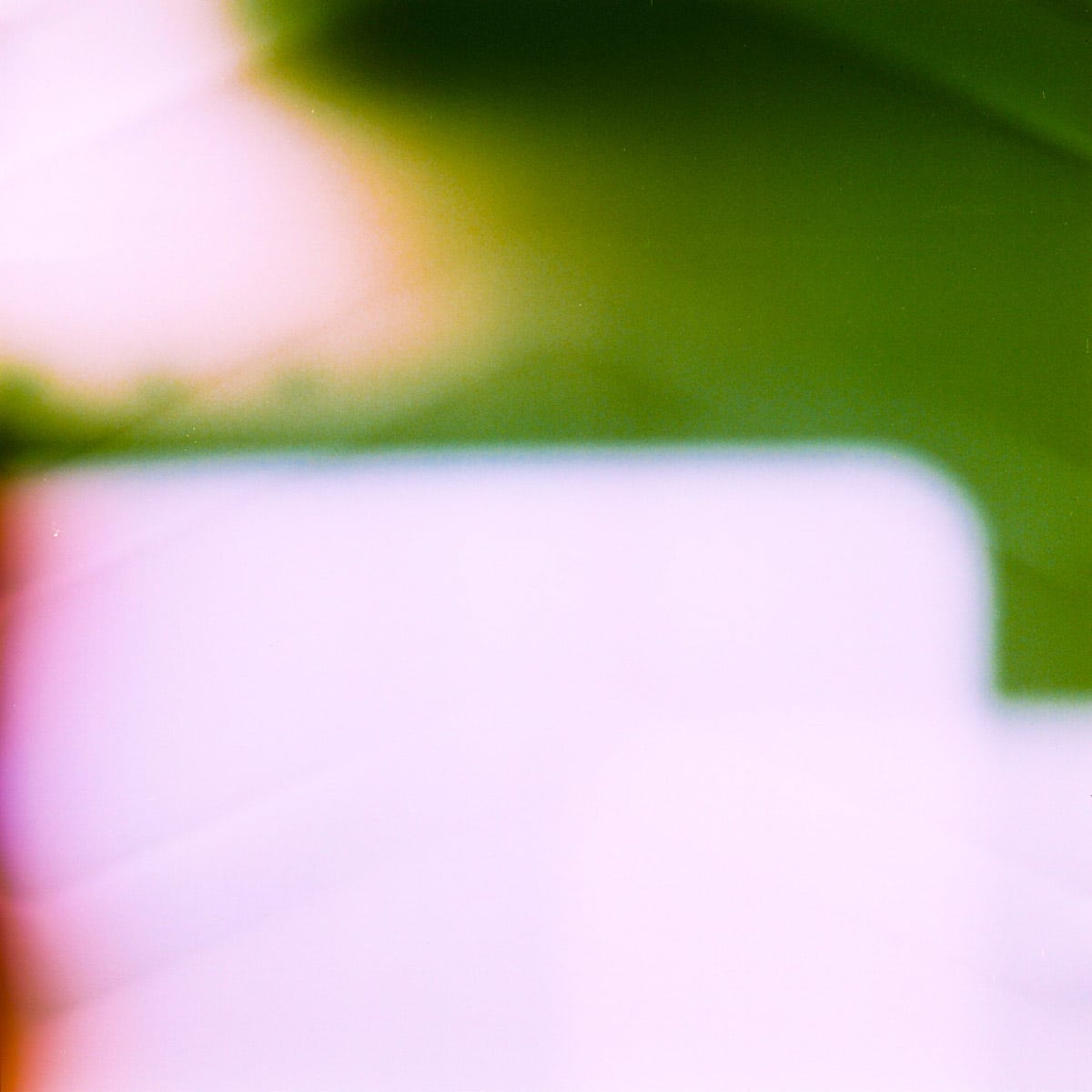 Photography: Cubed #01 – Shot on Lomography Color Negative 800 at EI 800 (120 format)