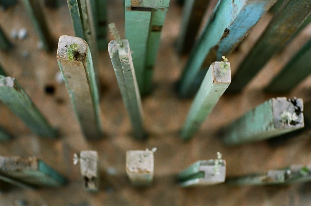 Protuberance - Shot on Kodak Profoto XL 100 at EI 100. Color negative film in 35mm format.