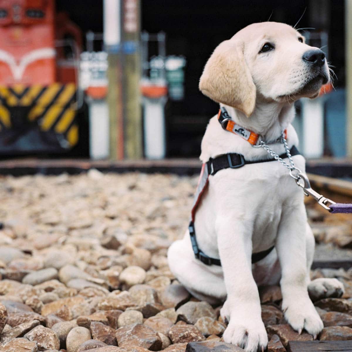 Got a minute? - Shot on Kodak Portra 400 at EI 400. Color negative film in120 format shot as 6x6.