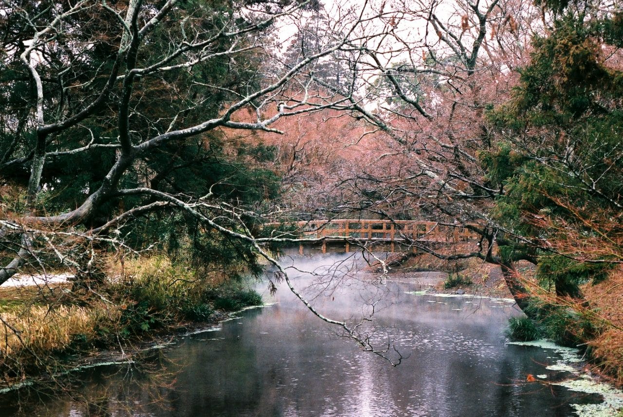 Photography: Sweetspot – Shot on Fuji Superia 400 Premium at EI 1600 (35mm format)