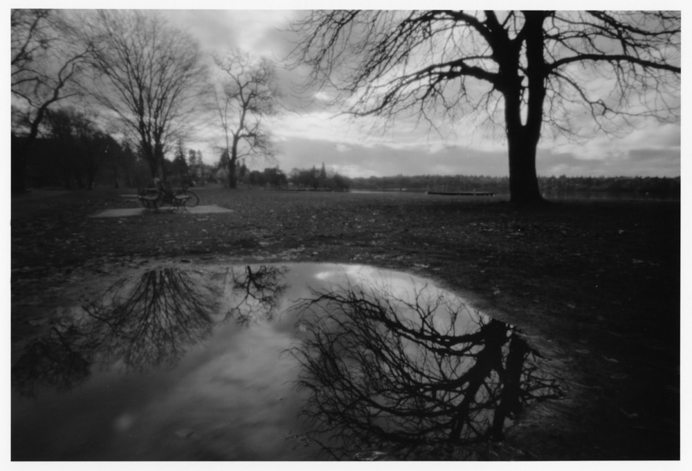 Silver craft: creating a fine print, from contact sheet to fiber