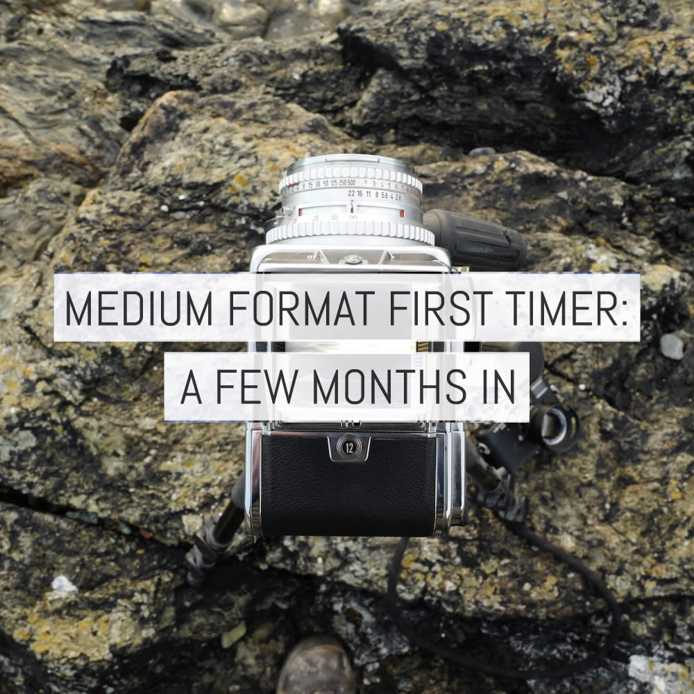Medium format first timer: a few months on with the Hasselblad 500C/M