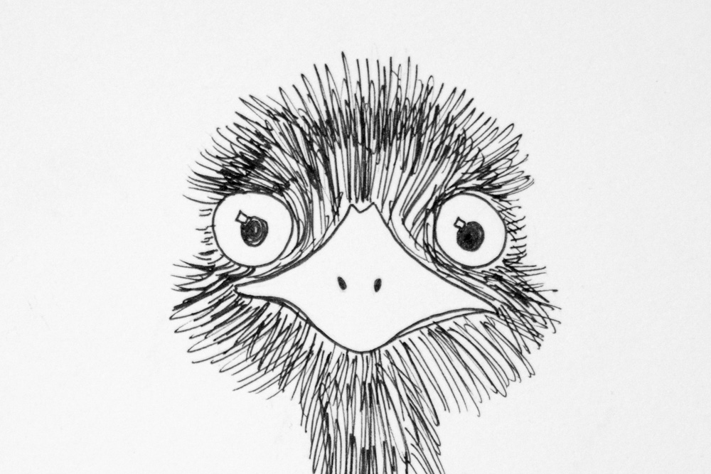 Announcing EMU-lsive: a new direction for EMULSIVE.org