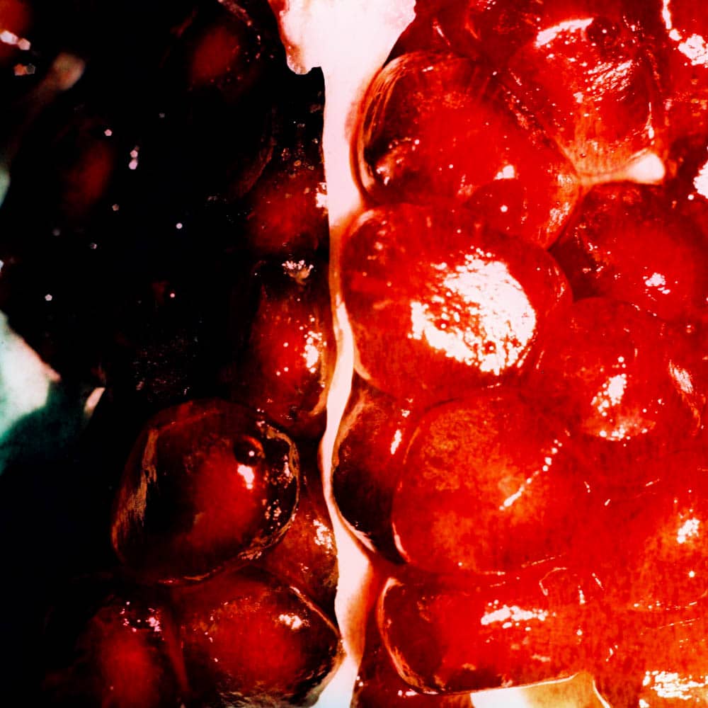 Photography: Granatum – Shot on Kodak EKTACHROME 100VS E100VS at EI 100 (120 format)