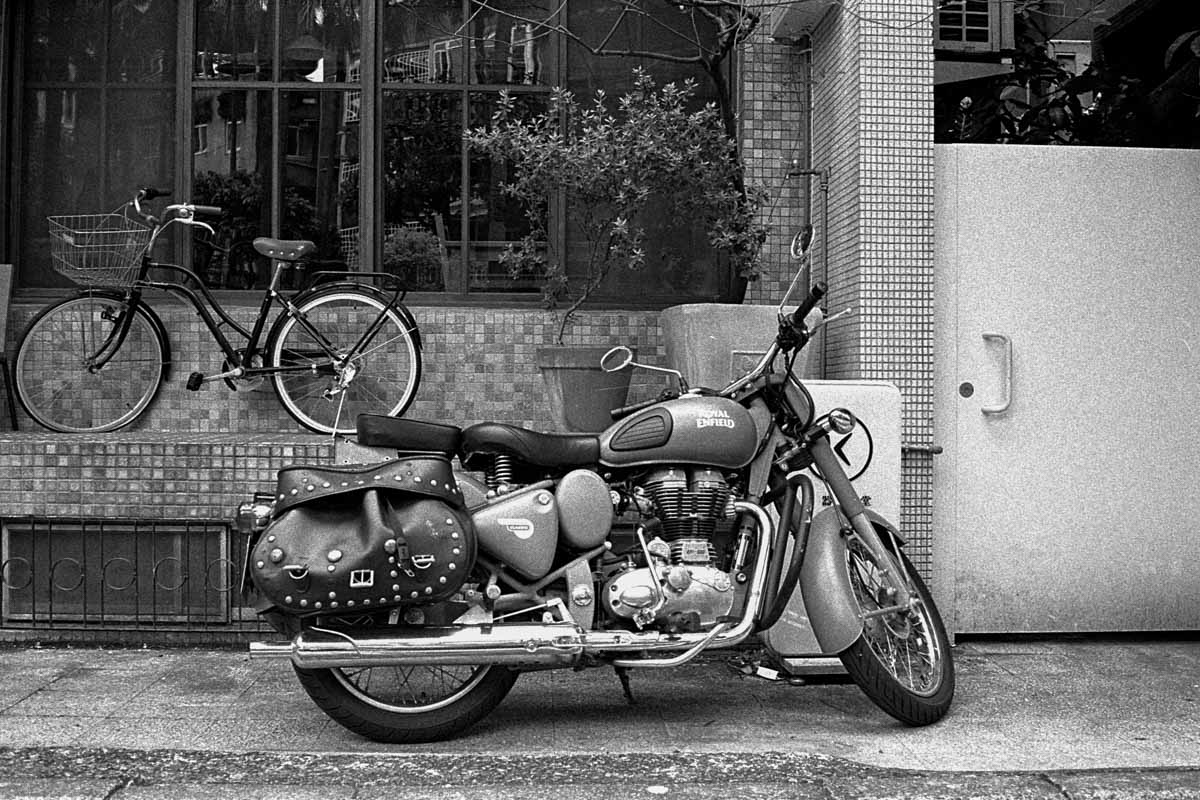 Photography: Royalty – Shot on Kodak T-MAX 3200 at EI 800 (35mm format)