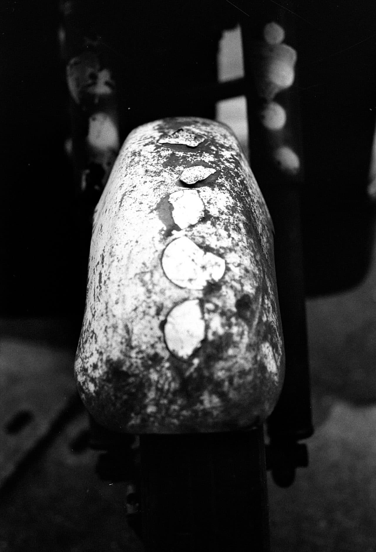 Photography: Mud guard – Shot on Kosmo Foto Mono 100 at EI 100 (35mm format)
