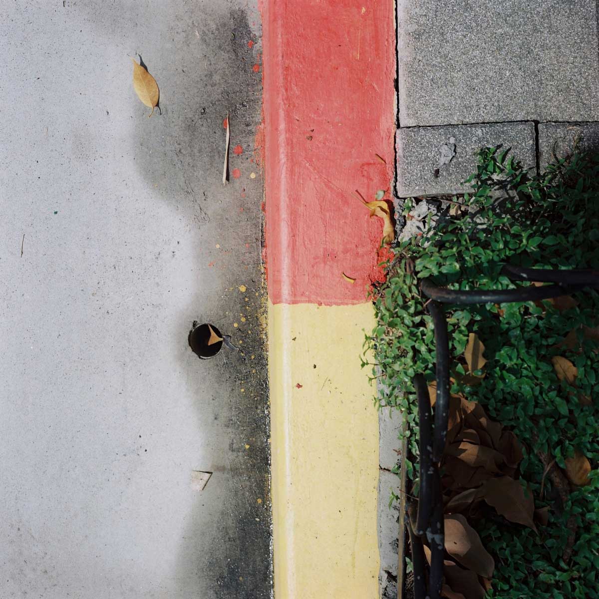 Photography: Red yellow green grey – Shot on Lomography Color Negative 100 at EI 100 (120 format)