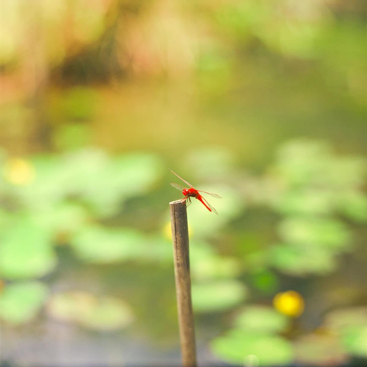 Photography: Breather – Shot on Kodak EKTACHROME 100VS (E100VS) at EI 100 (120 format)