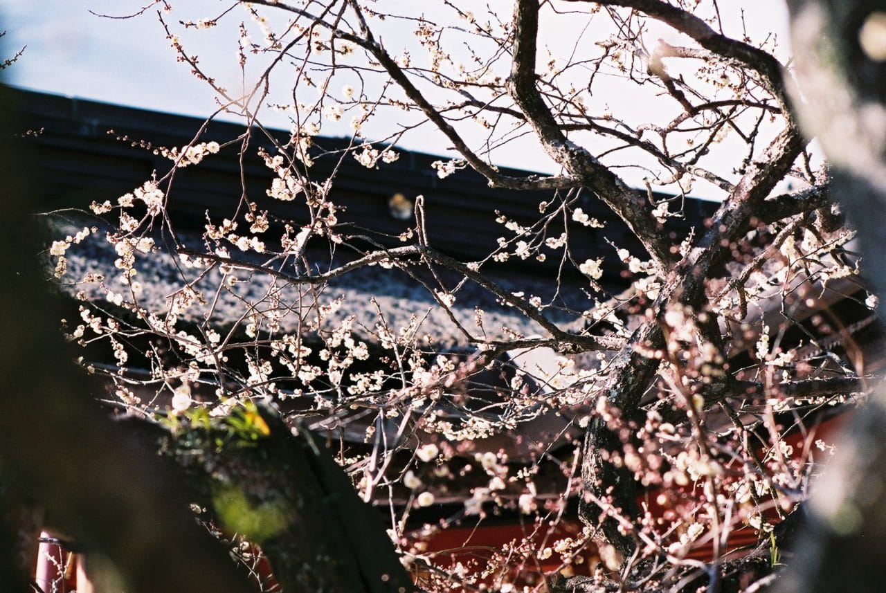 Photography: Off peak – Shot on Fuji Superia Premium 400 at EI 400 (35mm Format)