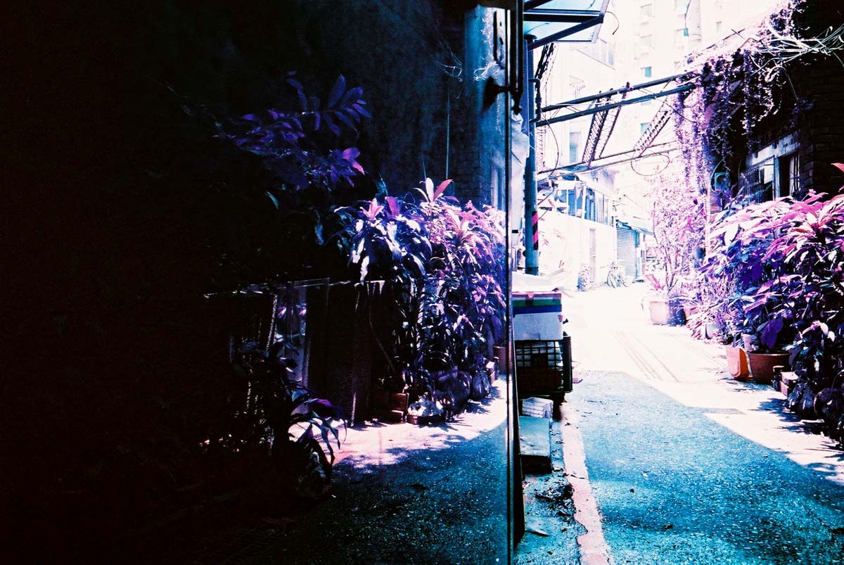 Mirror finish - Shot on Lomography Lomochrome Purple XR 100-400 at EI 400. Color negative film in 35mm format.