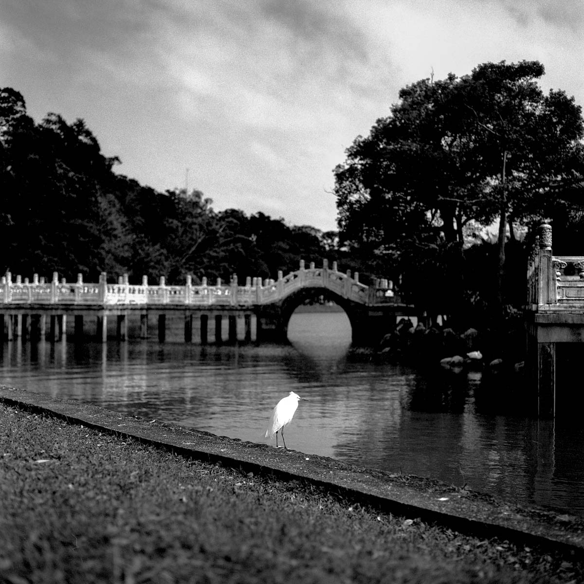 Photography: Threading the needle – Shot on Shanghai GP3 100 at EI 100 (120 format)