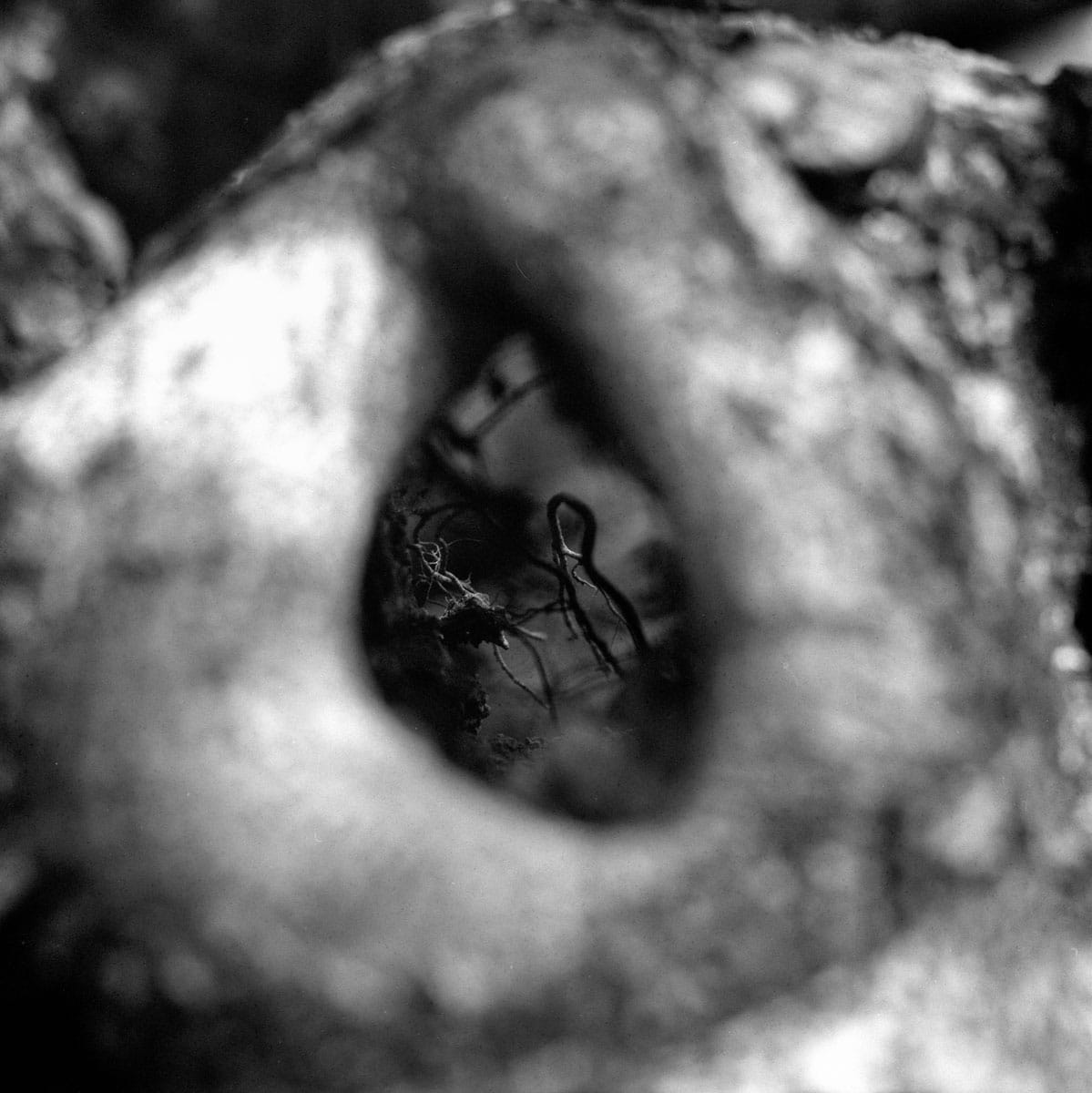 Transition 01 - Shot on Rollei Superpan 200 at EI 200. Black and white negative film shot as 6x6. Hasselblad 2000 + Kodak Aero Ektar 178.