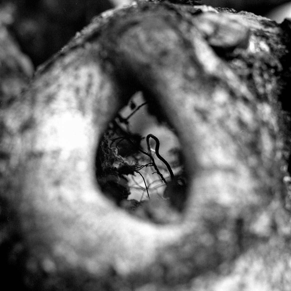 Photography: Transition 02 – Shot on Rollei Superpan 200 at EI 200 (120 format)