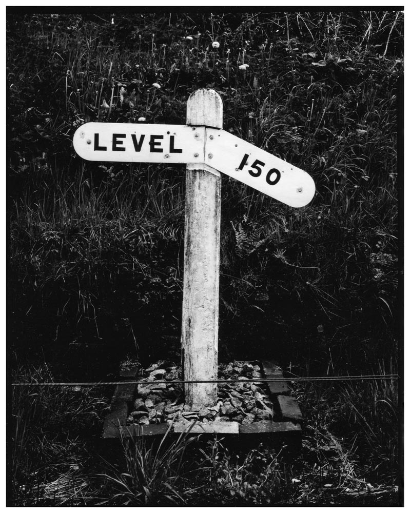 5 Frames… Harman Direct Positive Paper (EI 2 / 4X5 format / Intrepid 4×5 Mk III)