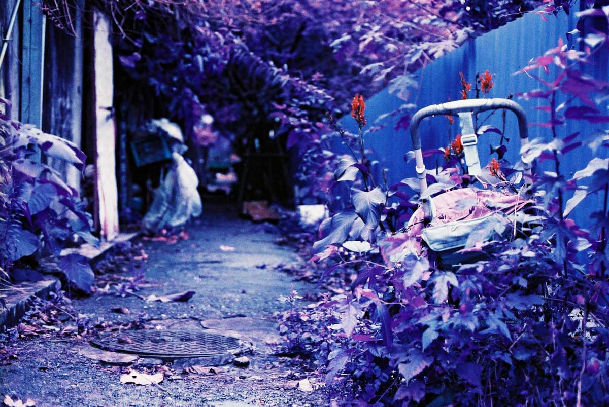 Photography: Child-friendly facilities – Shot on Lomography Lomochrome Purple XR 100-400 at EI 400 (35mm format)