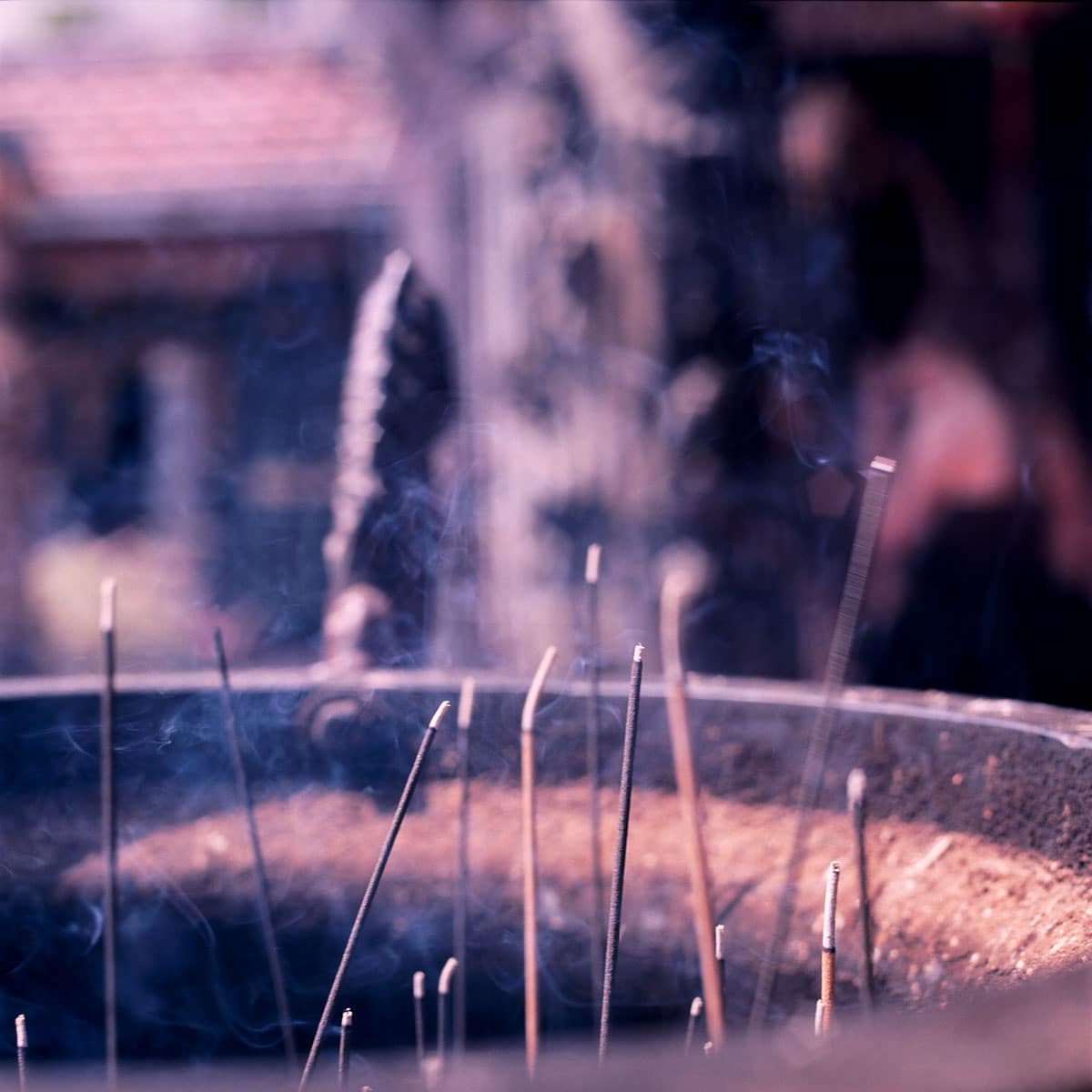 Photography: Seventeen sticks – Shot on Kodak EKTACHROME Professional Plus 100 (6005) at EI 100 (120 format)