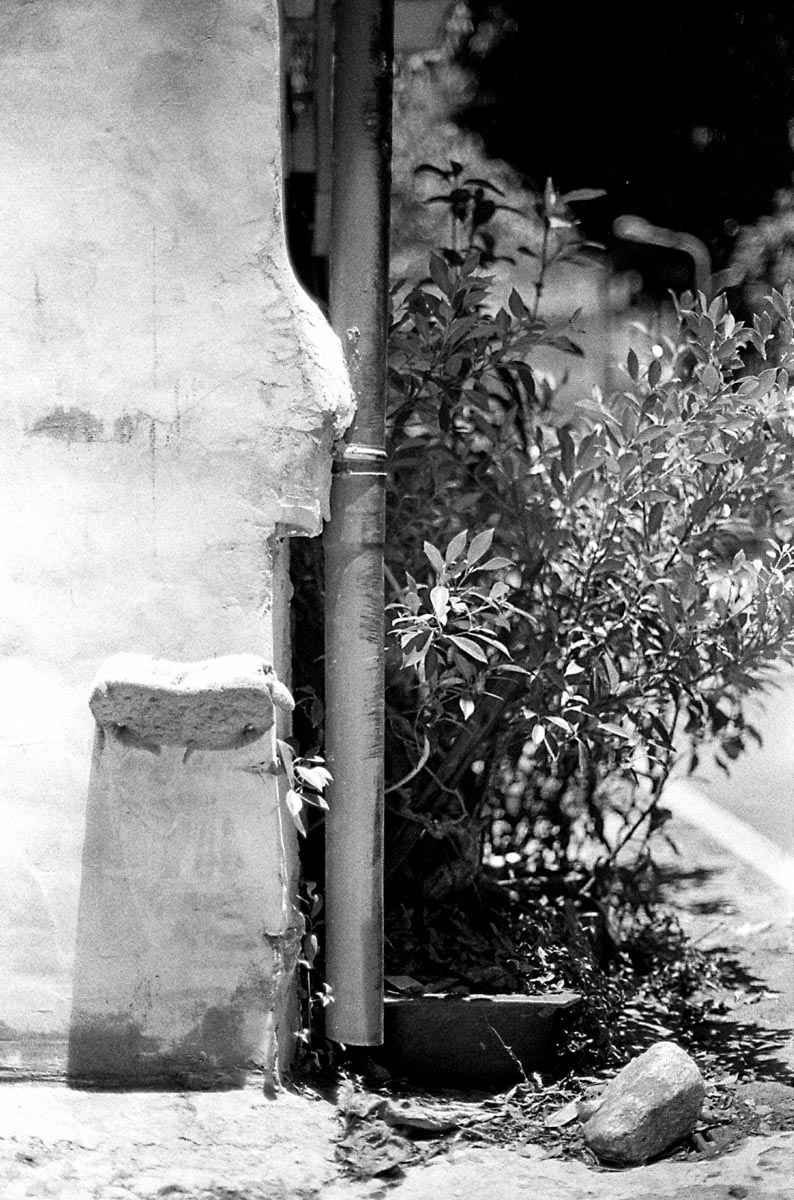 Photography: Super absorbent – Shot on Kodak EASTMAN DOUBLE-X 5222 at EI 400 (35mm format)