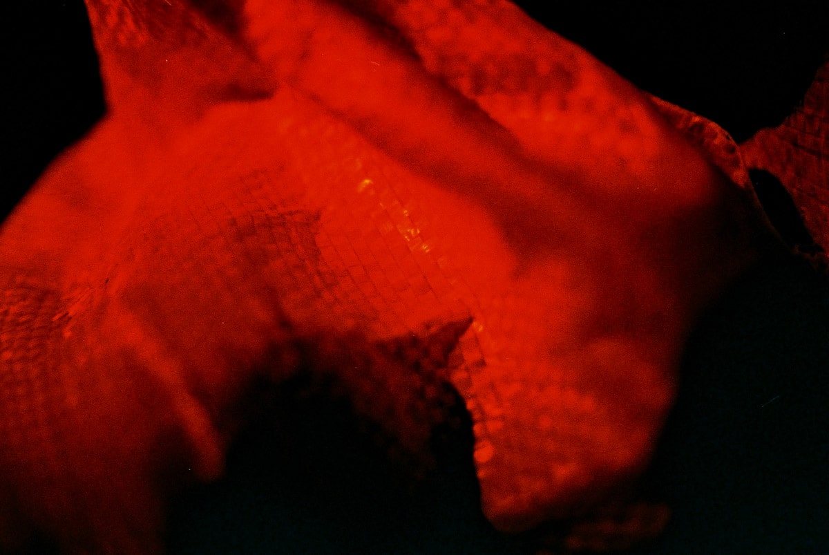 Photography: 365 textures #02 – Shot on Kodak Elitechrome 100 (EB-3) at EI 100 (35 mm format)