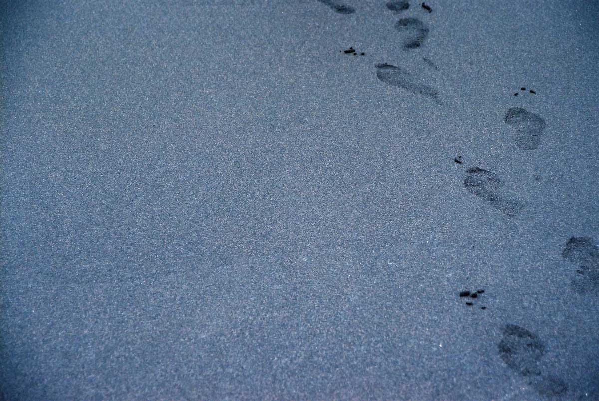 Photography: Black sand – Kodak VISION3 200T 5213 at EI 200 (35mm format)