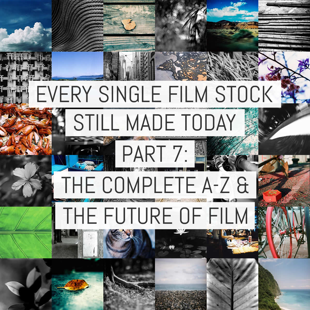 Every single film stock still made today – Part 7: the complete A-Z plus thoughts on the future of film