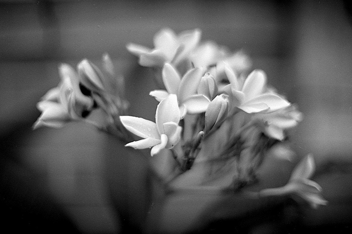 Photography: Spray – Shot on Efke KB25 at EI 25 (35mm format)